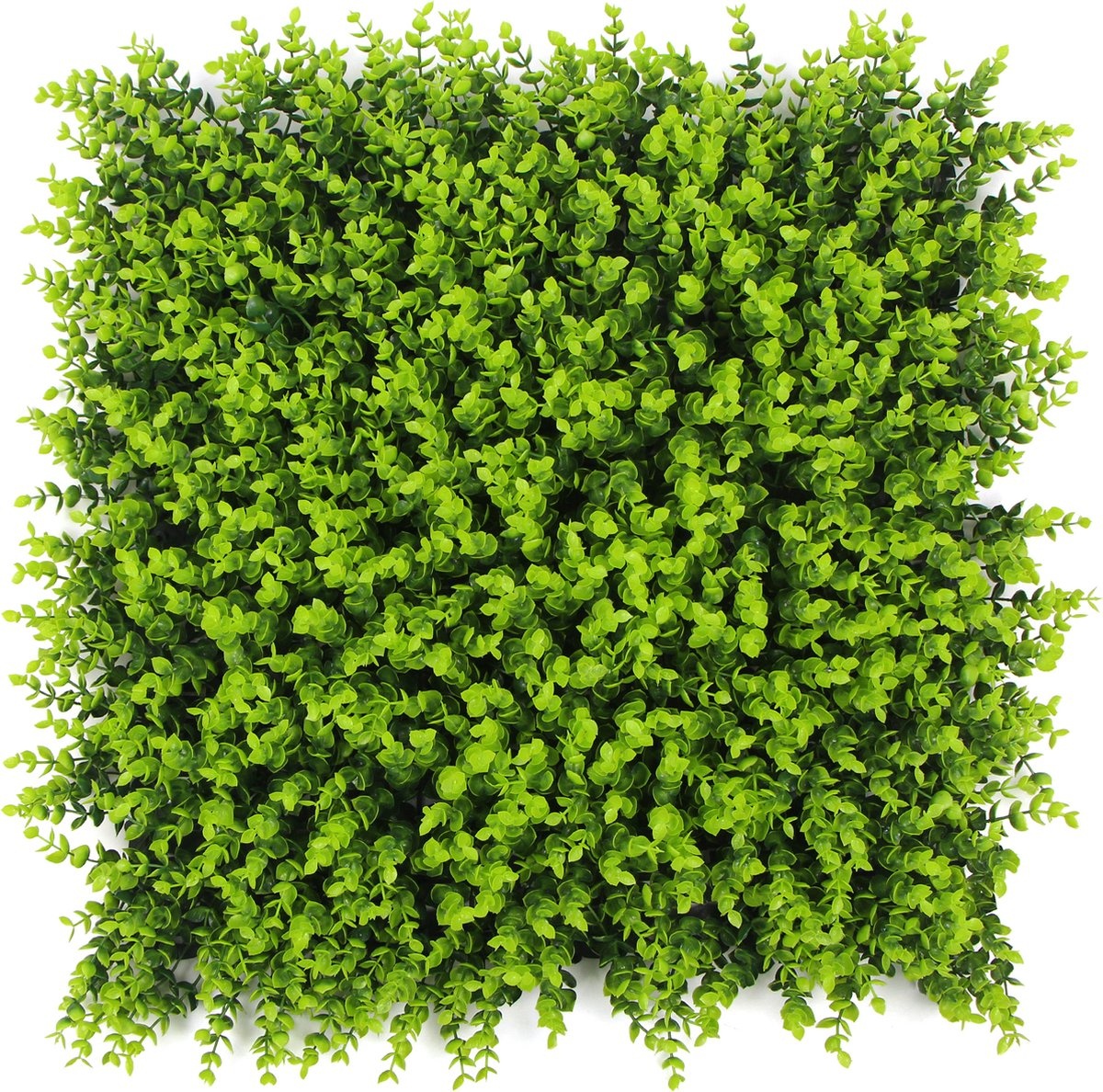 Kunstplantenwand FOLY Spring Buxus 1 m2 afbeelding