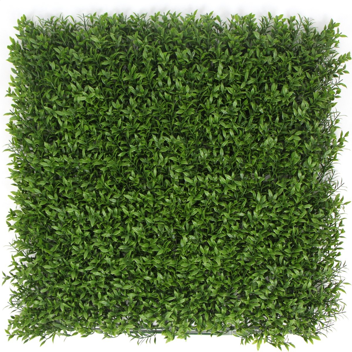Kunstplantenwand FOLY Ruscus 1 m2 afbeelding