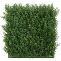 Kunstplantenwand FOLY Taxus 1 m2