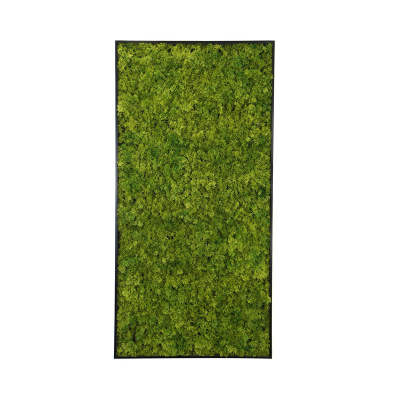 Kunst mosschilderij MOSS Emerald Green afbeelding