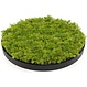 Kunst moscirkel MOSS Emerald Green 75cm. antraciet