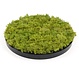 Kunst moscirkel MOSS Lime Green 75cm. antraciet