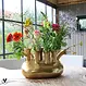 Tulpenvaas Assen 12 goud op=op