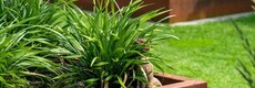 Cortenstaal plantenbakken zonder bodem