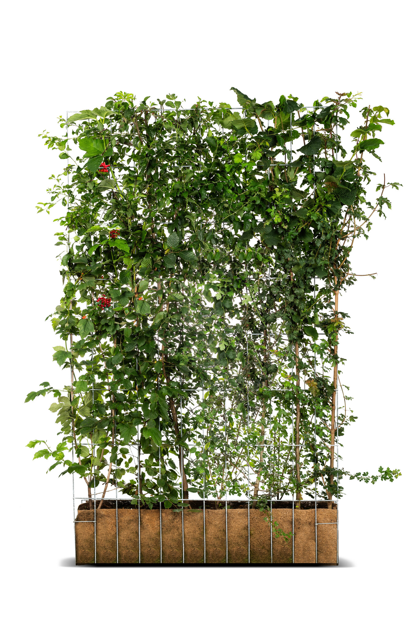 Mobilane Kant en klaar haag ECO 120x180cm. afbeelding
