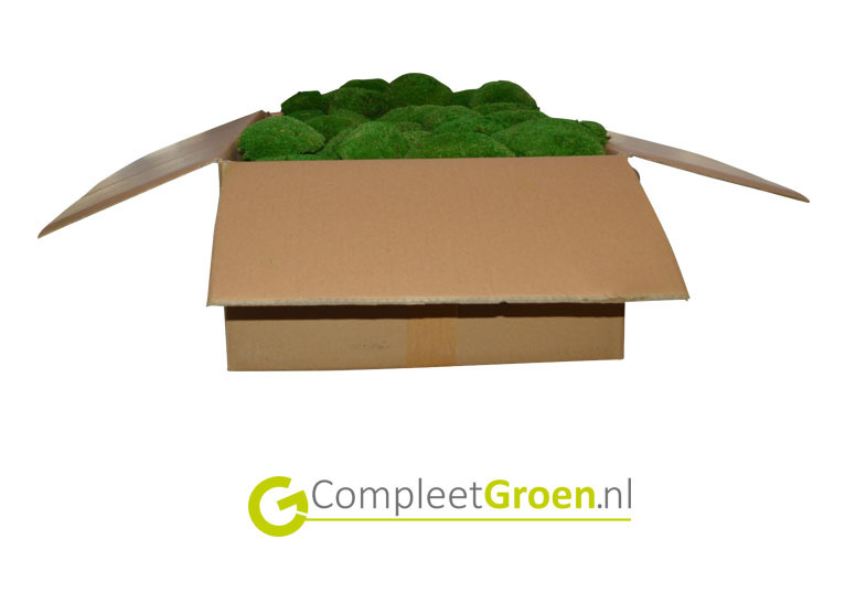 Bolmos bosgroen 0,2m2 afbeelding