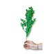 Asparagus takjes geprepareerd appelgroen