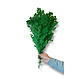 Asparagus takjes geprepareerd appelgroen