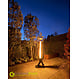 Green Flame pellet terrasverwarmer BPH-R100-T1