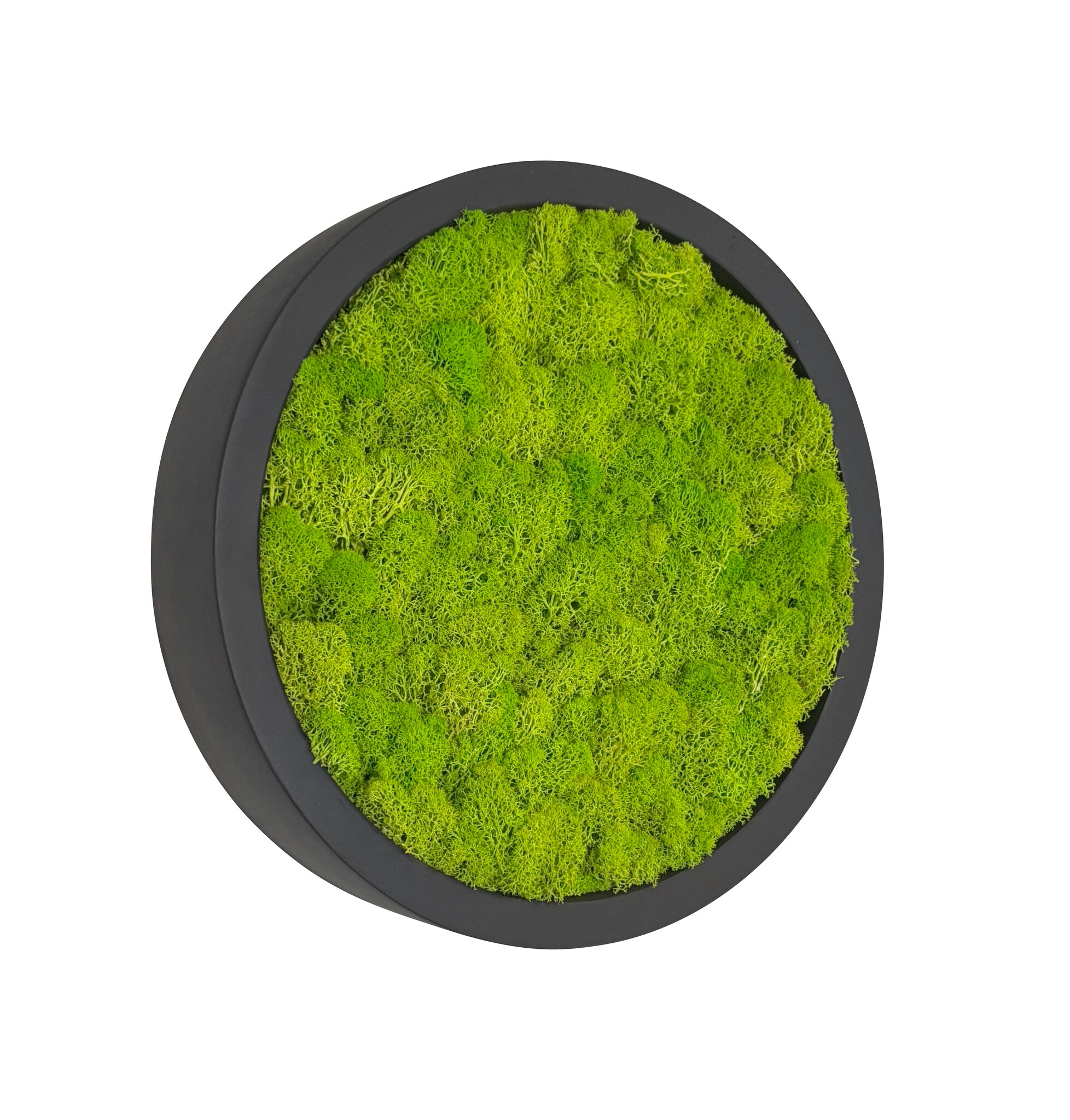 Mosschilderij Linn Fiberstone S afbeelding