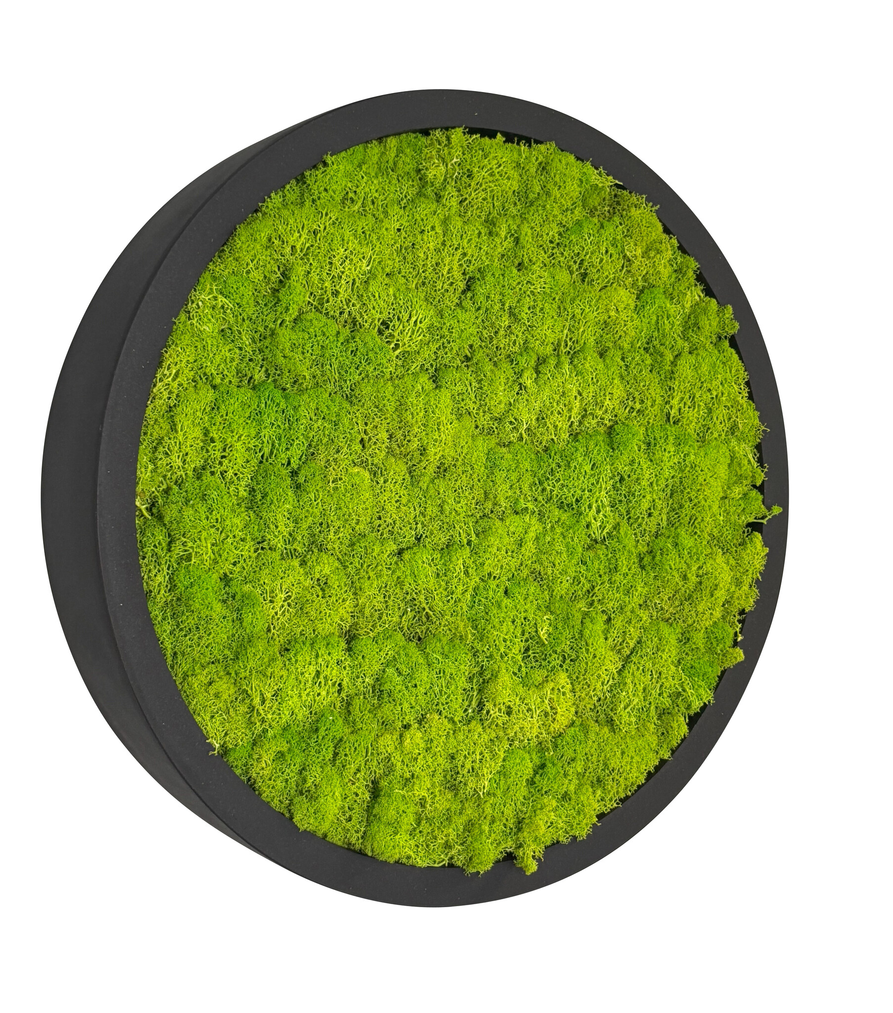 Mosschilderij Linn Fiberstone M afbeelding
