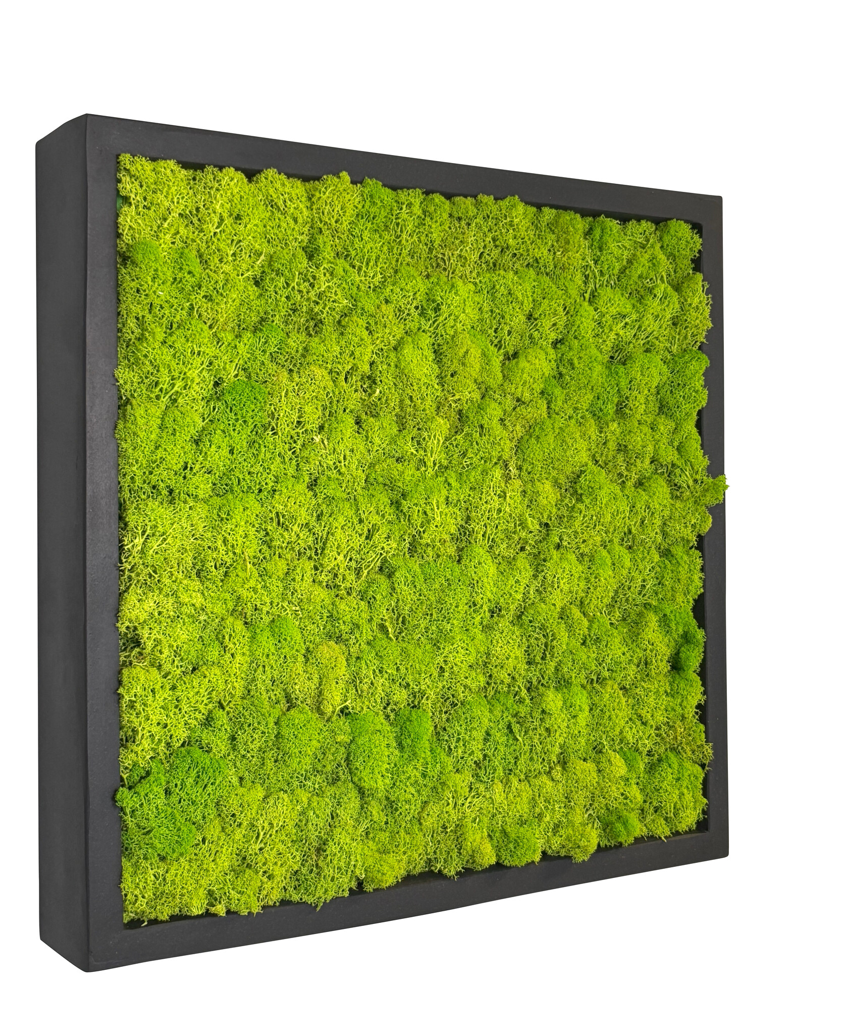 Mosschilderij Linn Fiberstone vierkant 50x50 cm afbeelding