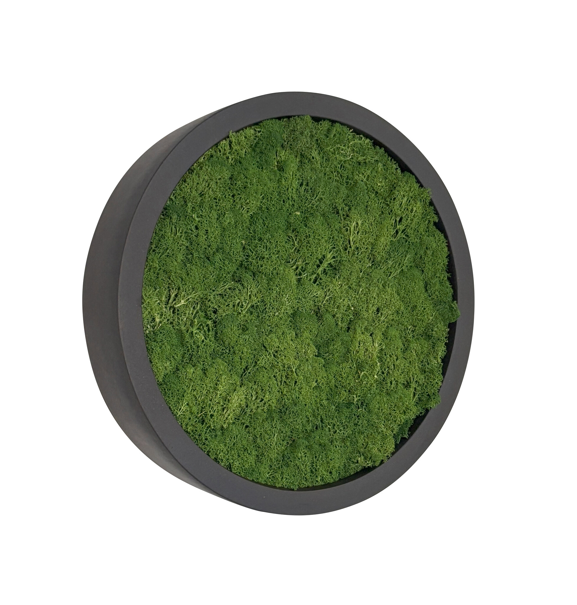 Mosschilderij Fay Fiberstone S afbeelding