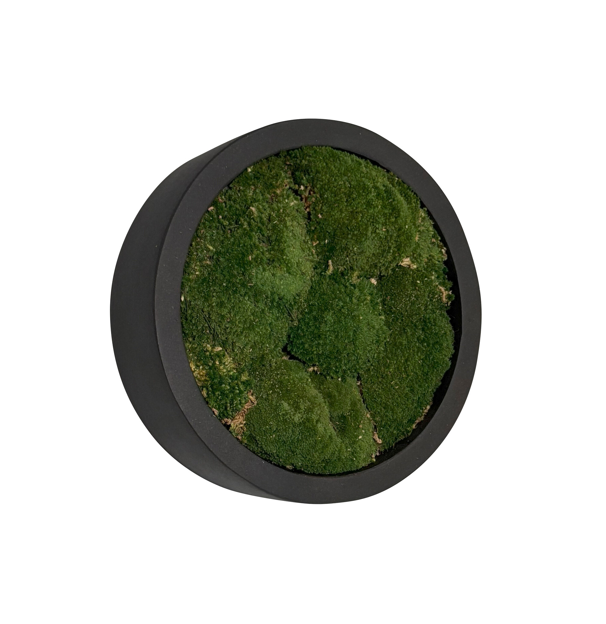 Mosschilderij Jade Fiberstone XS afbeelding 1