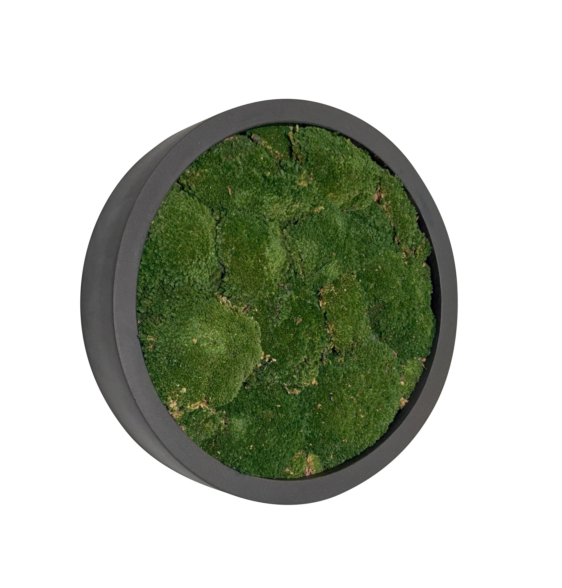 Mosschilderij Jade Fiberstone S afbeelding
