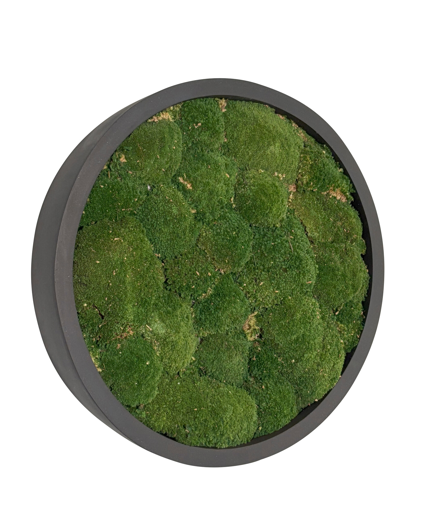 Mosschilderij Jade Fiberstone M afbeelding