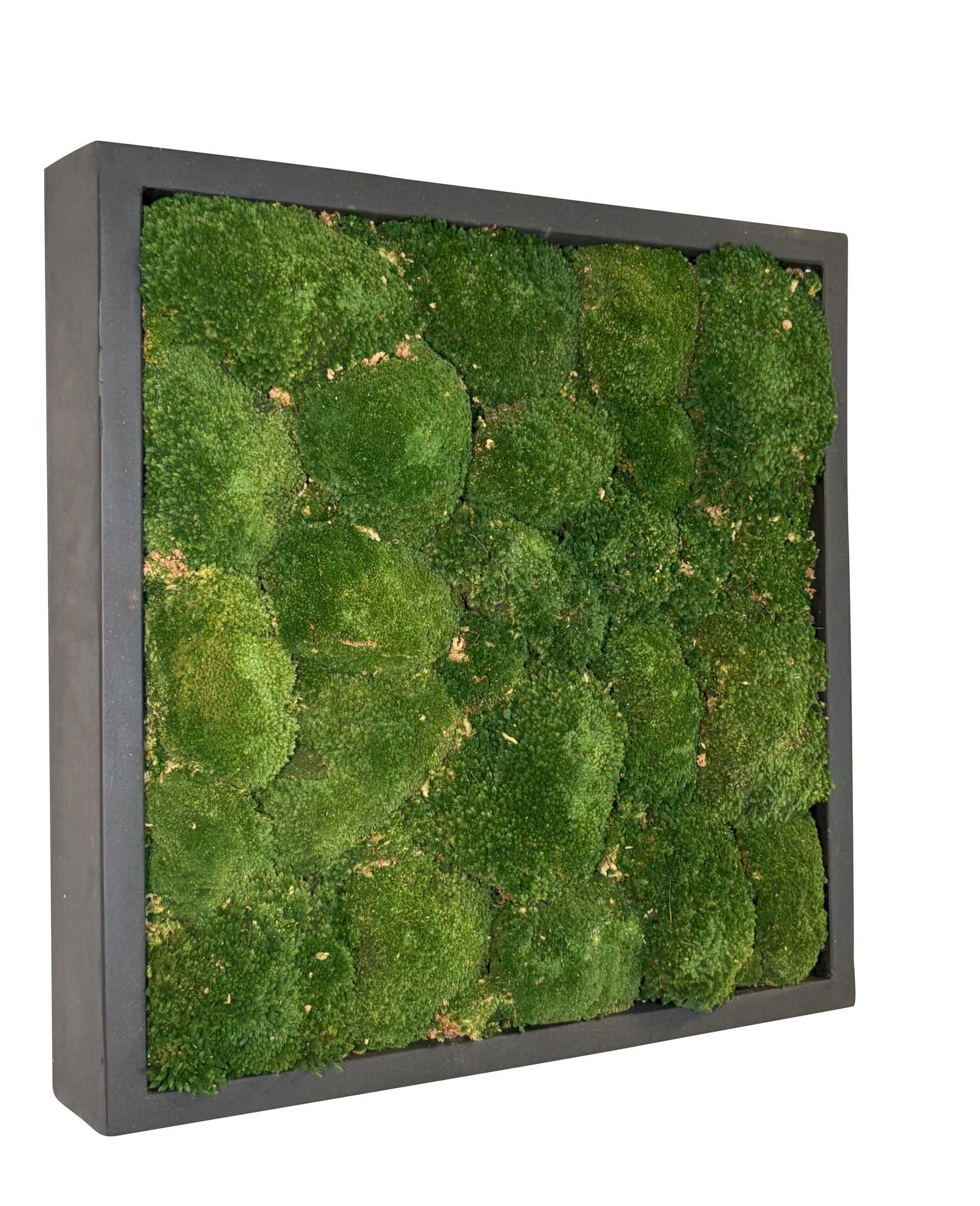 Mosschilderij Jade Fiberstone vierkant 50x50 cm afbeelding