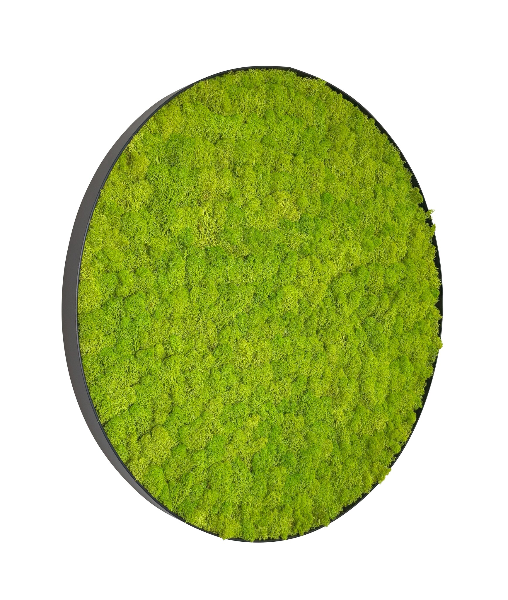 Mosschilderij Linn Metal 100cm. afbeelding