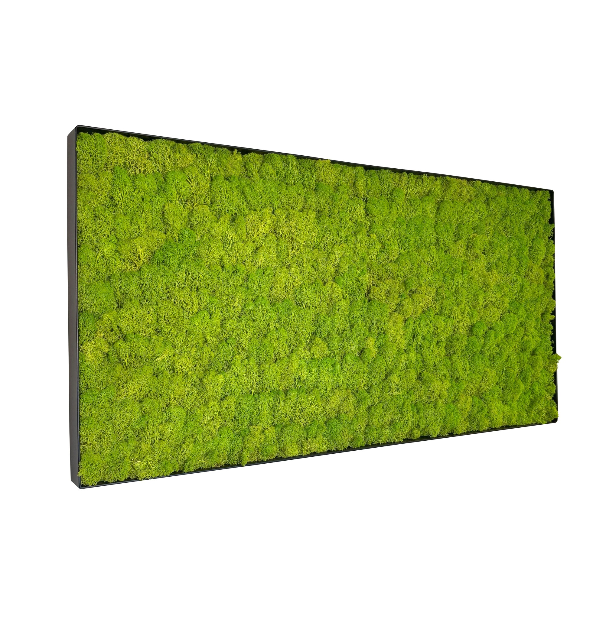 Mosschilderij Linn Metal 100x50cm. afbeelding