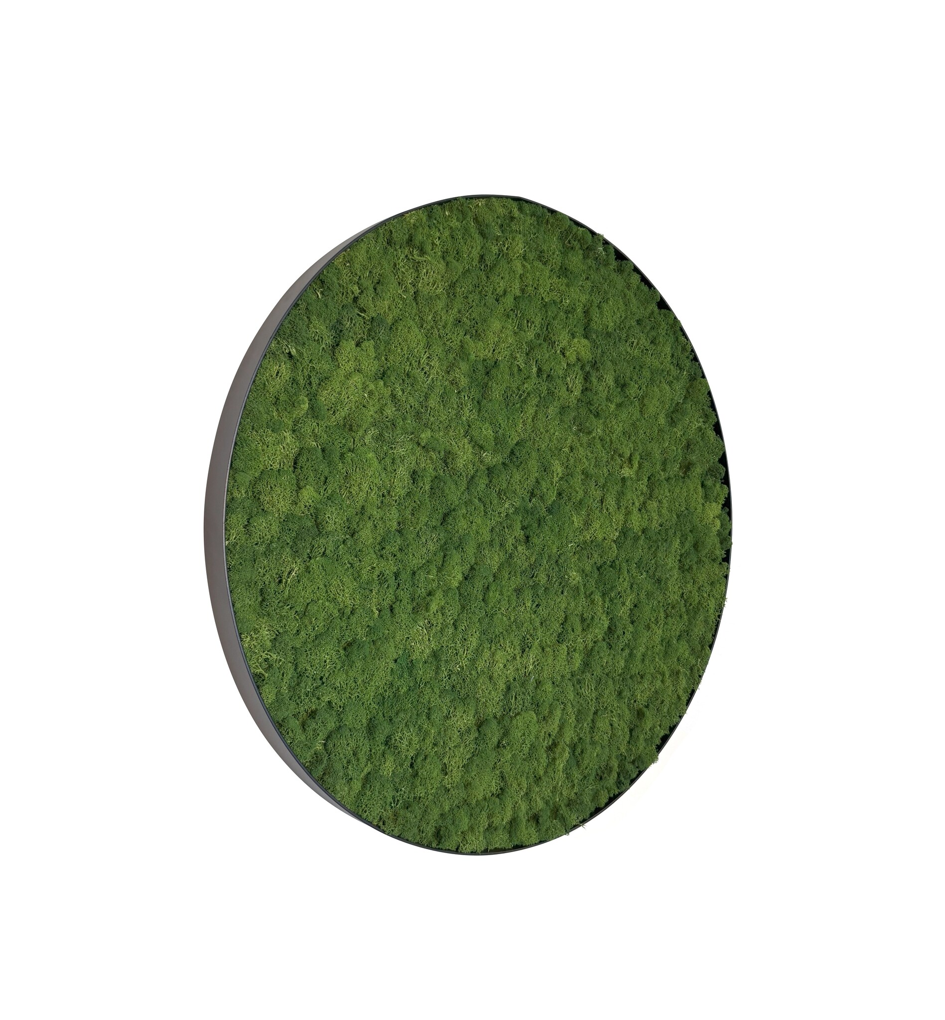 Mosschilderij Fay Metal 80cm. afbeelding