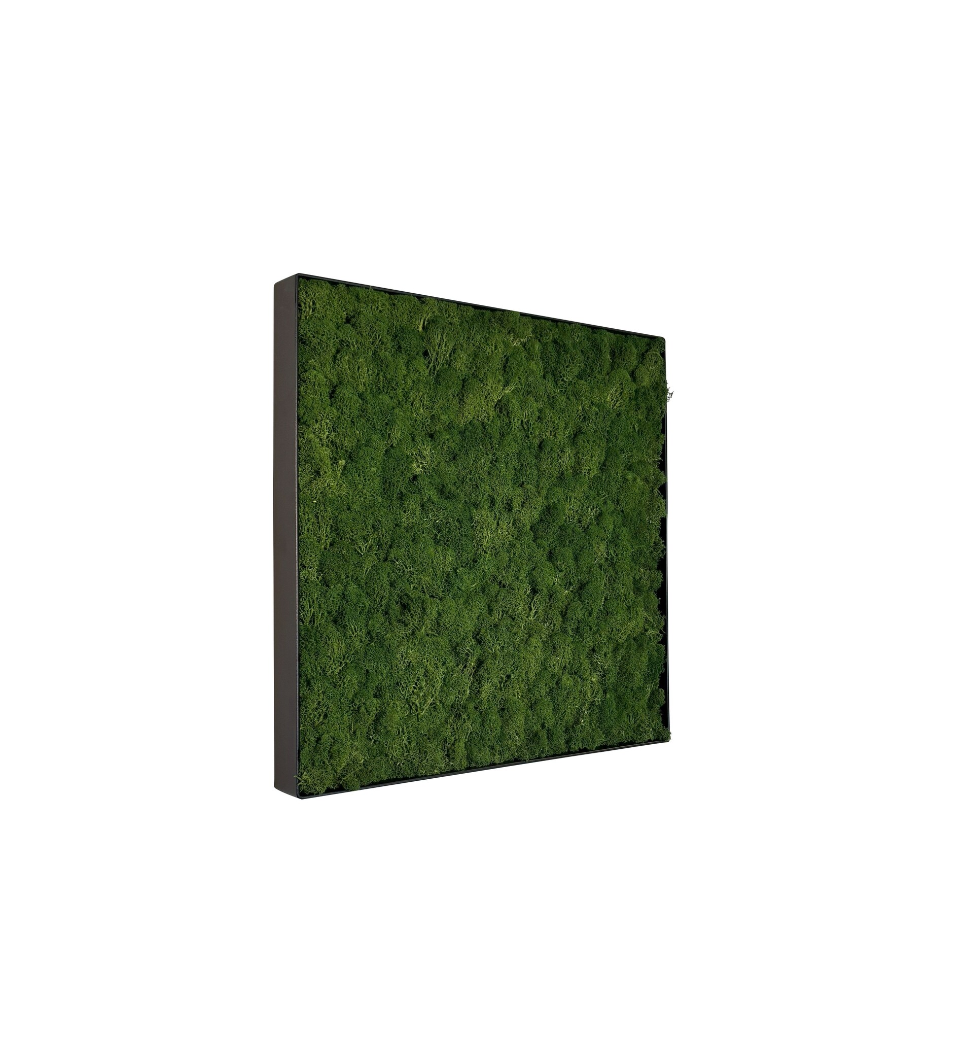 Mosschilderij Fay Metal 50x50cm. afbeelding