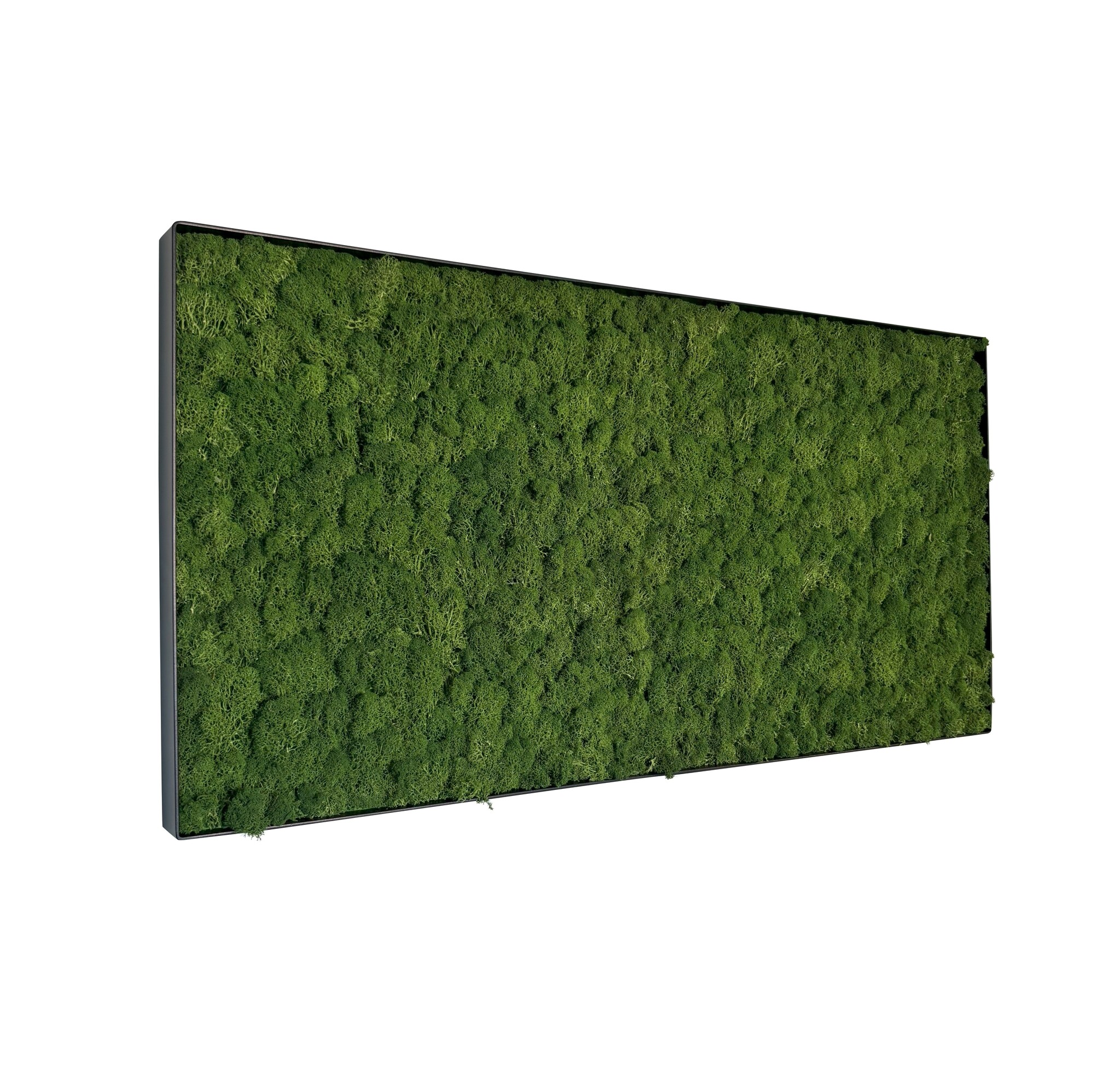 Mosschilderij Fay Metal 100x50cm. afbeelding