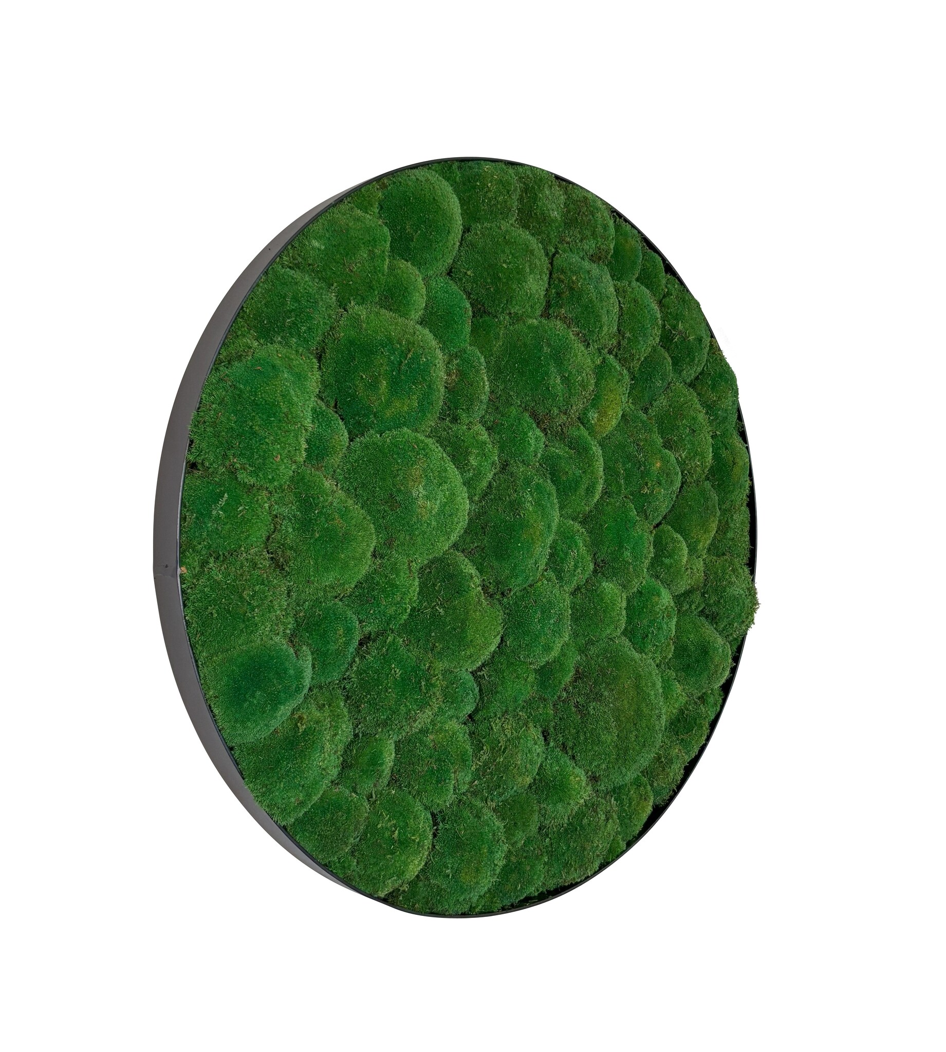 Mosschilderij Jade Metal 60cm. afbeelding