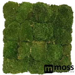 Bolmos wandpaneel mosgroen