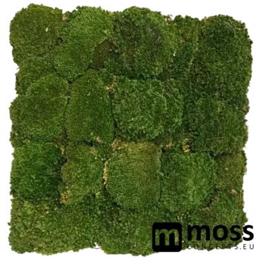 Bolmos wandpaneel mosgroen