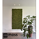 Rendier Moswand paneel mediumgroen