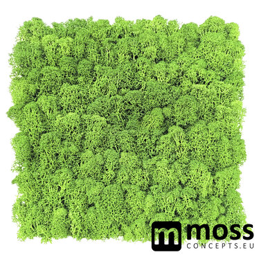 Rendier Moswand paneel mediumgroen