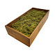 MOSS concepts Rendiermos mediumgroen 500 gram