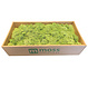 MOSS concepts Rendiermos mediumgroen 500 gram