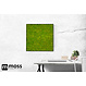 Mosschilderij Linn Metal 50x50cm.