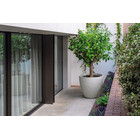 Stonecore plantenbakken 