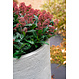 Stonecore plantenbak KIVO 70x90cm.