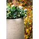 Stonecore plantenbak MOYA 100x70cm.