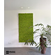 MOSS concepts Rendiermos Springgroen 500 gram