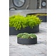 Plantenschaal Max Low XS