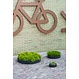 Plantenschaal Max Low XS
