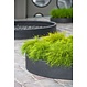 Plantenschaal Max Low M