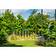Gecoat staal tuinpaal vierkant 10x10x300cm.