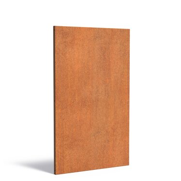 Sfeerpaneel cortenstaal BASIC 1100x50x2000mm.