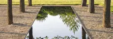 Spiegelvijver
