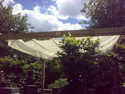 Sunfighter Wavesail WP afbeelding