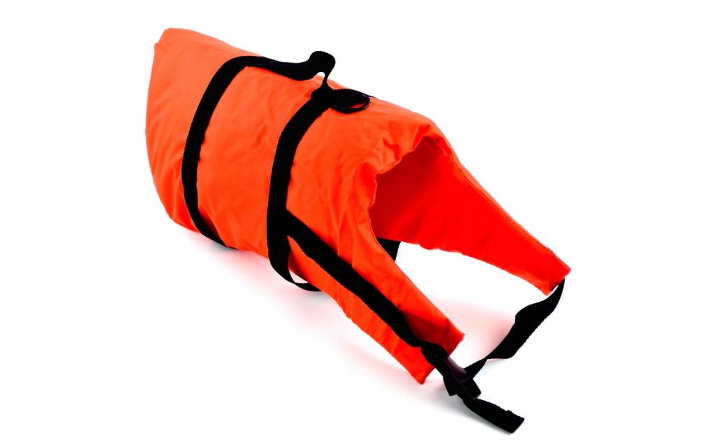 Hondenzwemvest >40kg / Borstomvang 46-95 cm