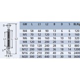 RVS Spanschroef met ogen