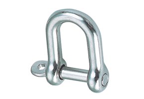 RVS D-sluiting met onverliesbare pin