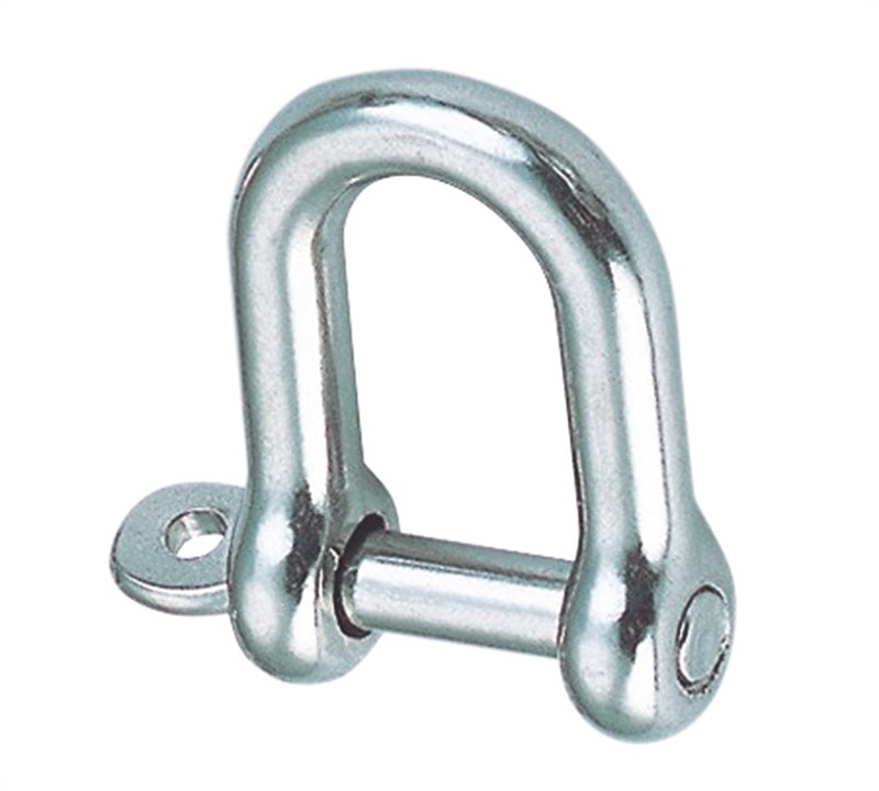 RVS D-sluiting met onverliesbare pin