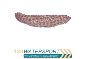 Kopleguaan van kokos